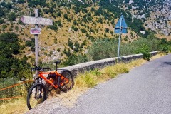 stefano salvatori mtb