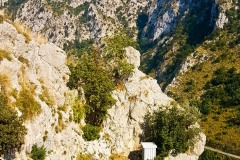 stefano salvatori mtb