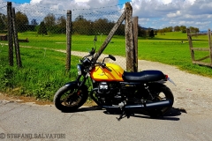 motoguzzi-v7III-stefano salvatori