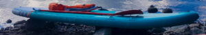sup- stefano salvatori